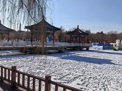 -长春市南湖公园