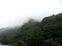-洛阳白云山景区