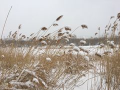 -门城湖公园