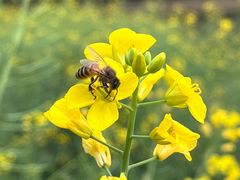 -宝晶宫旅游景区