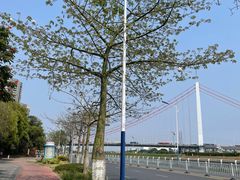 -万科·金域蓝湾