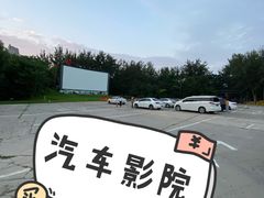-枫花园汽车电影院(朝阳公园店)