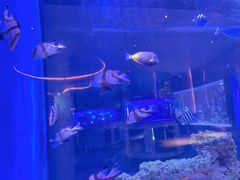 -上和臻品中国菜(花园街店)