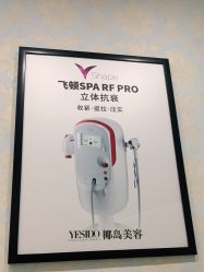 -YESIDO椰岛造型