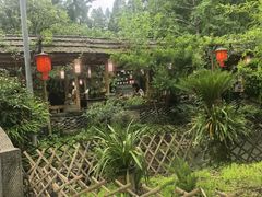 -青城甲(青城山店)