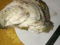 -蚝专家(北滘店)
