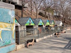 -北京鹿世界主题园