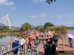 -芒洲湿地公园