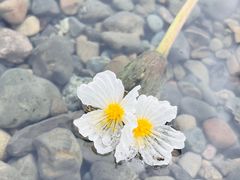 -丽江泸沽湖景区