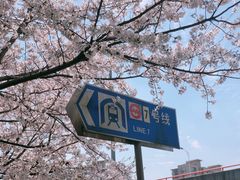 -杨高南路(地铁站)