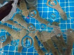 -宾朋海鲜饭庄(兴海路店)