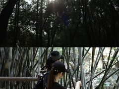 -火炉山森林公园