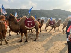 -东海半边山旅游度假区