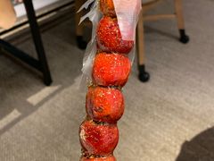 -和禄德冰糖葫芦