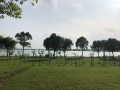 -漕湖湿地公园