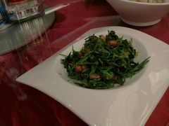-常州环球恐龙城维景国际大酒店