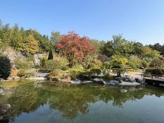 -上海吴淞炮台湾国家湿地公园