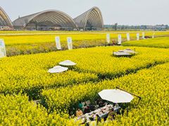 -中国天府农业博览园