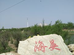 -大港湿地公园