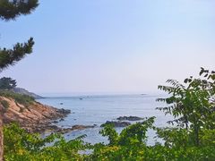 -阿水大杯茶(韩乐坊西街店)