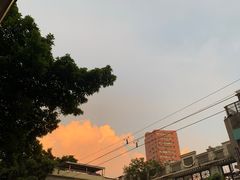 -椰爺爺·椰子冻砵仔糕