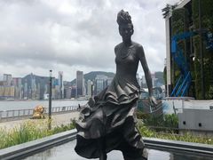 -星光大道