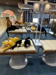 -奈尔宝·儿童乐园·亲子餐厅(鄞州万达店)