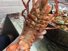 -云南巷海鲜大咖·可加工海鲜