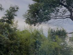 -安吉龙王山峡谷漂流