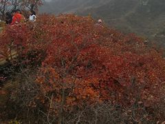 -水峪民俗村