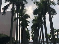 -马哥孛罗香港酒店
