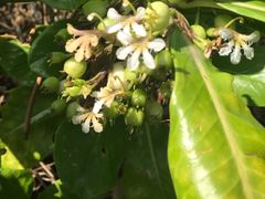 -龙坑生态保护区