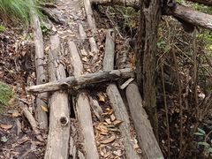 -云岫谷游猎自然风景区