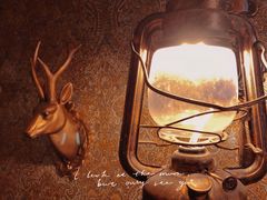 -秃鹫湾·推理大师沉浸式实景演绎推理剧场