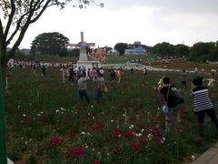-松山湖梦幻百花洲