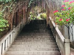 -乌山风景区