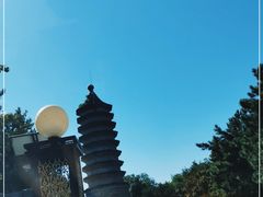 -古塔公园