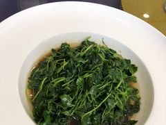 -碧丽宫大酒店(召稼楼店)