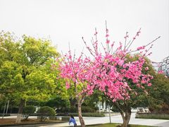 -西湖文化广场