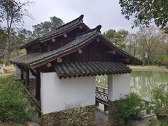 -杭州植物园