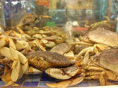 水产区-顺峰(南二环店)