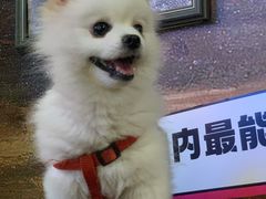 -胡桃里音乐酒馆(仓山万达店)