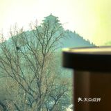穿越历史品红茶，紫禁城旁的中式米其林美馔🍵