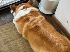 -肥朵食堂(带梦胡同店)