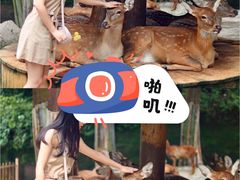 -西安秦岭野生动物园