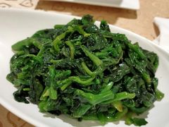 清炒菜尖-大鸭梨烤鸭(左家庄店)