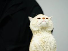 -宁波五龙潭景区