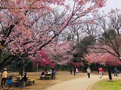 -井之头恩赐公园
