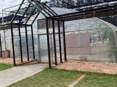 -前小桔亲子创意农场·草莓采摘·露营烧烤