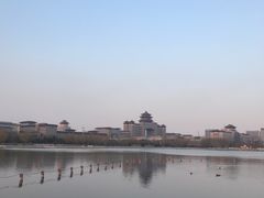 -莲花池公园